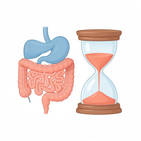 Illustration médicale simplifiée du bas du système digestif accompagnée d’un sablier, symbolisant la durée et la récupération lors d’une crise hémorroïdaire.